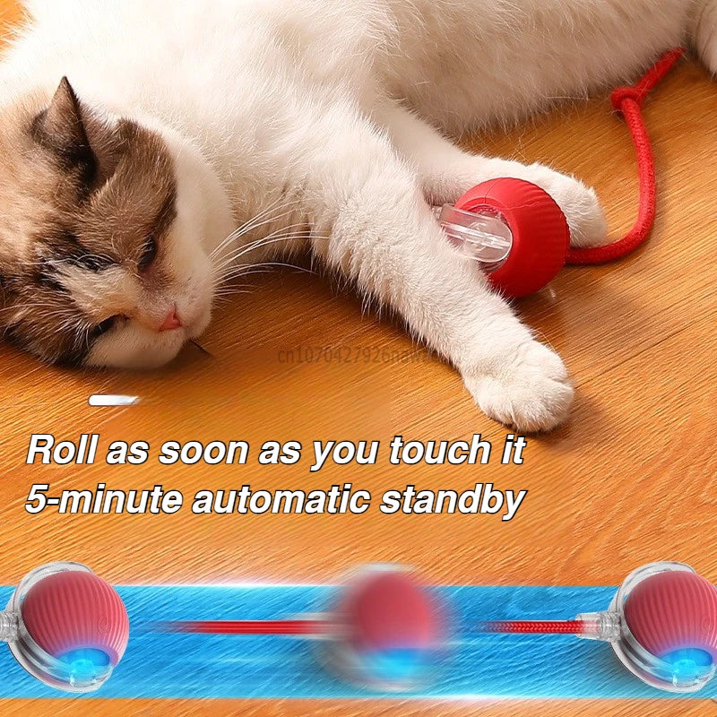 FanzyMarket automatic rolling cat toy with silicone magic ball, USB-C rechargeable, interactive prey-simulating toy for cats.