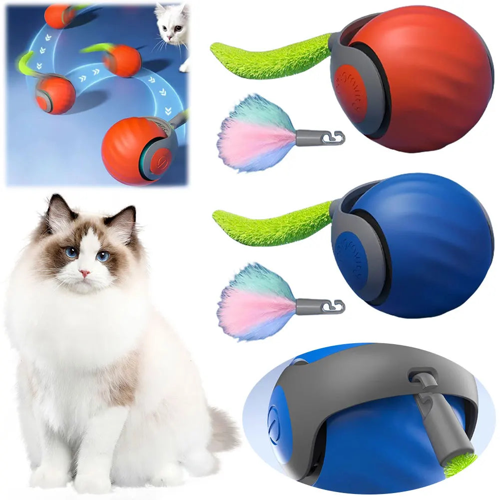 FanzyMarket USB rechargeable interactive cat toy ball with replaceable tail, automatic movement, and dual-speed for indoor cats.
