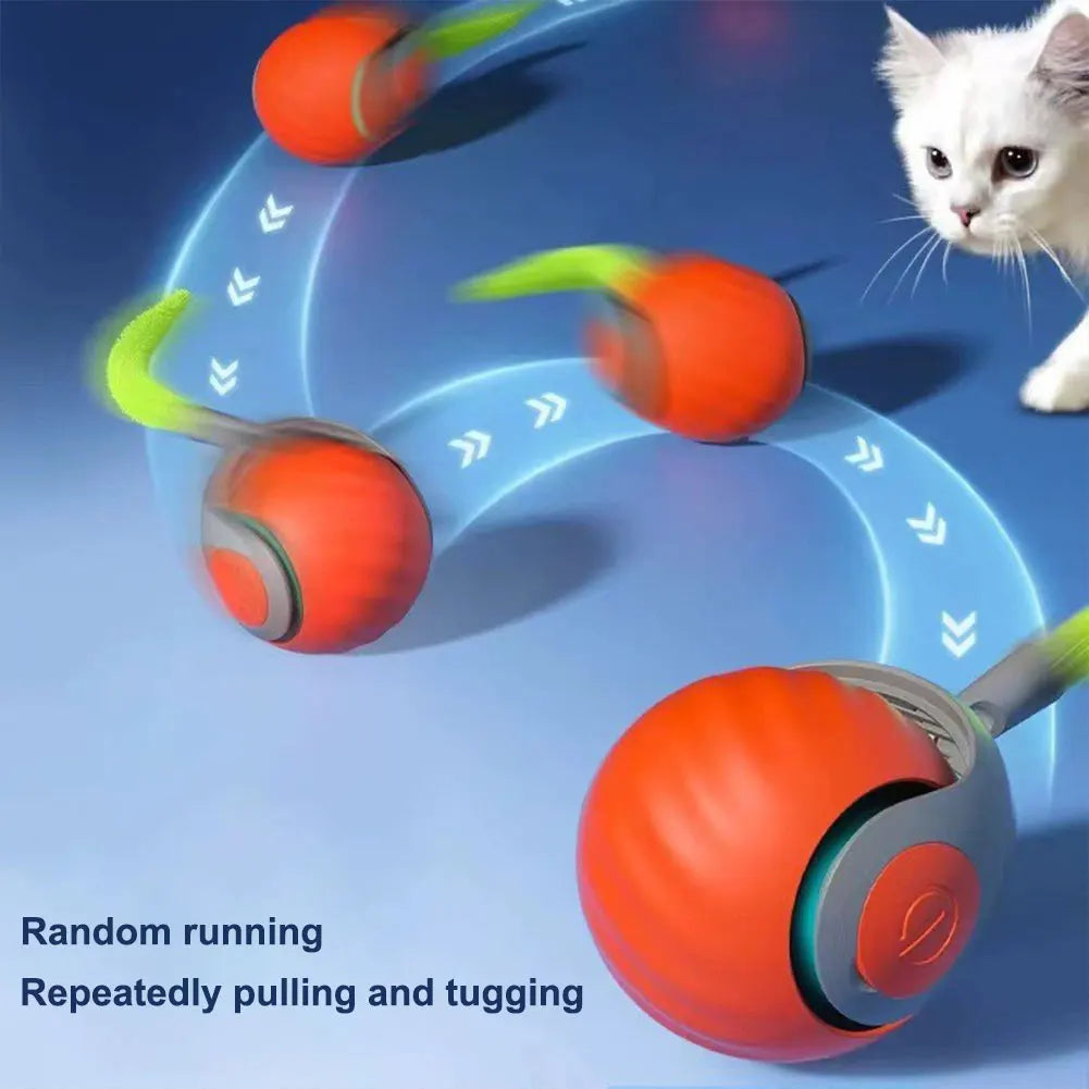 FanzyMarket USB rechargeable interactive cat toy ball with moving tail, dual-speed, perfect for indoor cats and fun play.