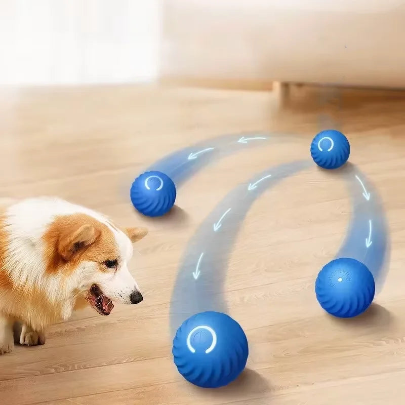 Orange rechargeable gravity jump ball for cats and dogs, bite-resistant pet toy with auto-rolling chase feature, 2.05 inches in size.