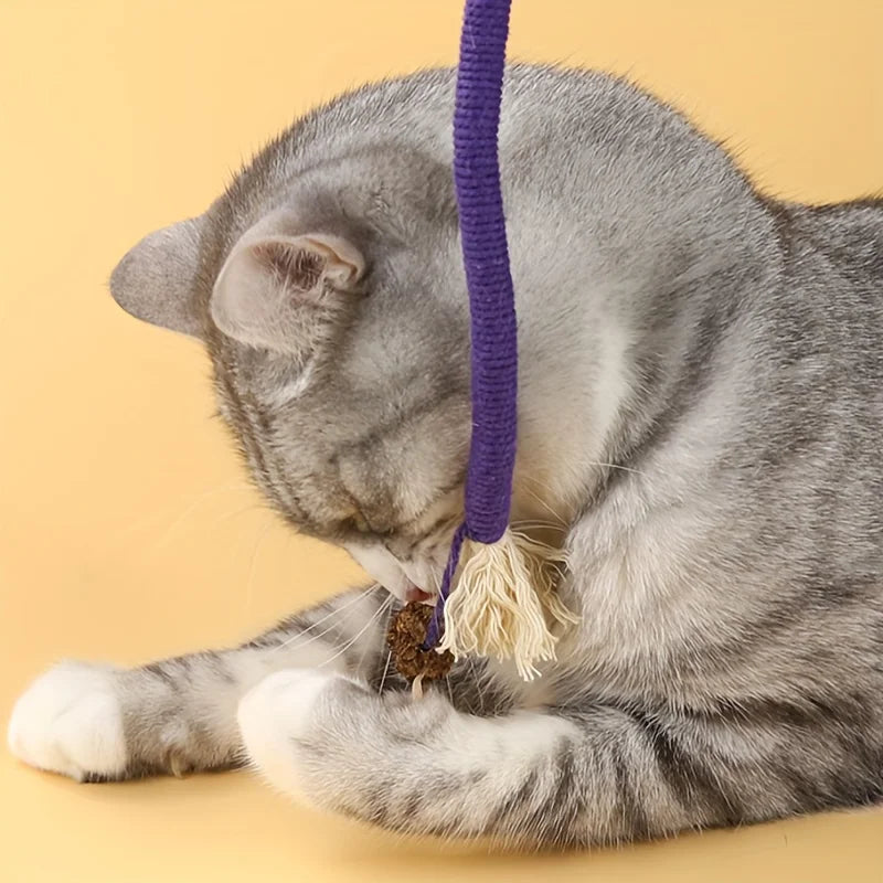 FanzyMarket cat sisal rope chew toy for pets, 7.87 inches, durable and interactive teeth grinding toy, purple pet supplies.