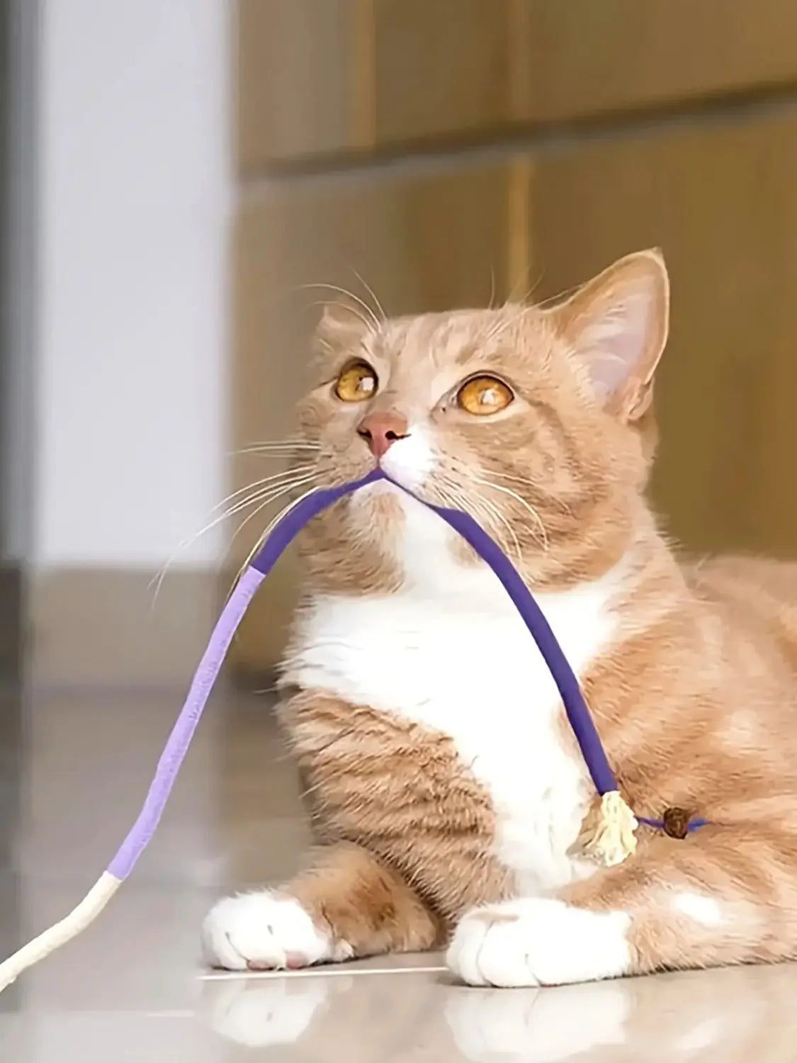 FanzyMarket cat sisal rope chew toy for pets, 7.87 inches, durable for teeth grinding, interactive teasing play, 1-pack.