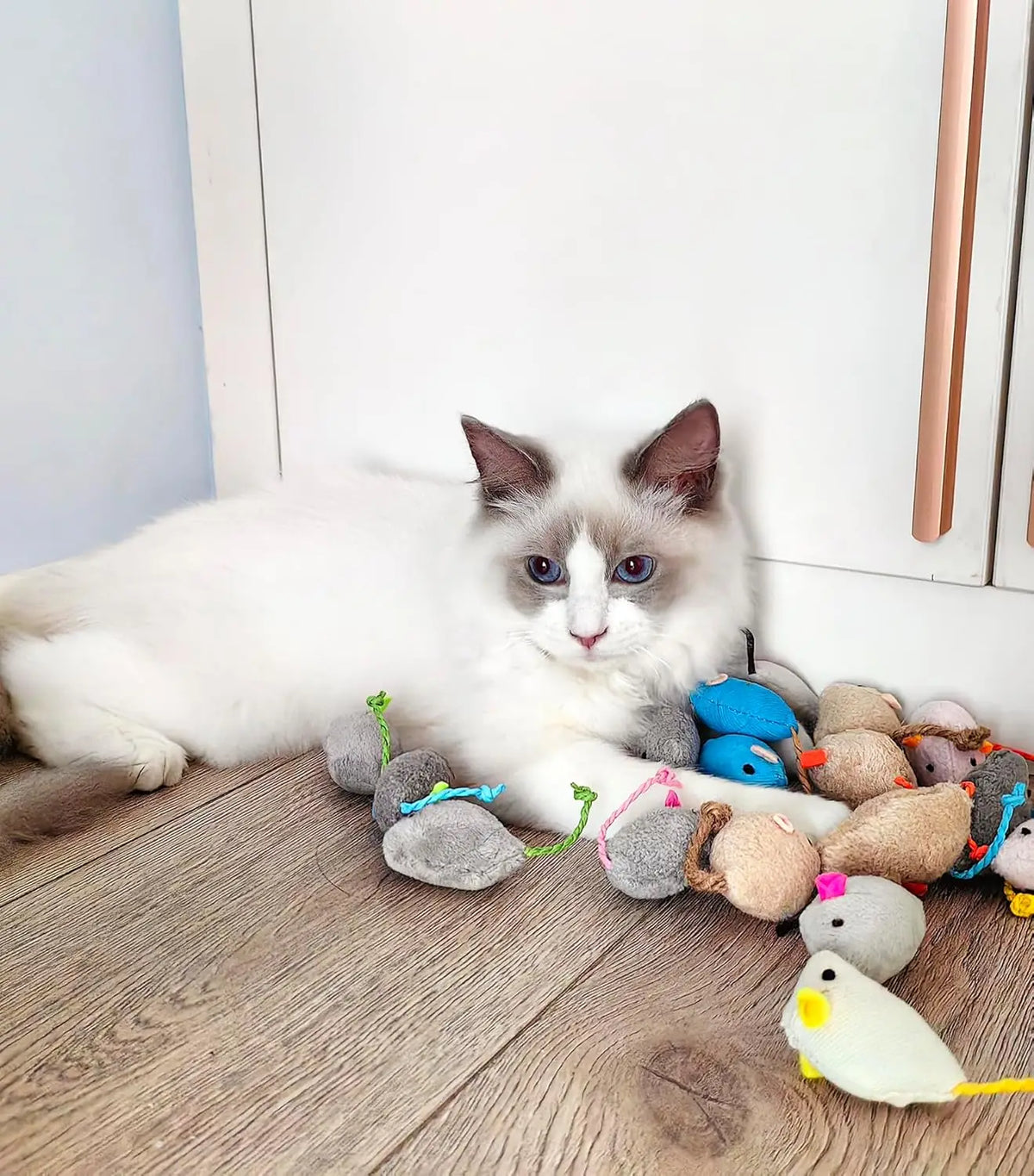 Set of FanzyMarket rattle catnip mice toys made of faux fur, prefilled with catnip, for indoor cats, available in 3 or 200 pack options.