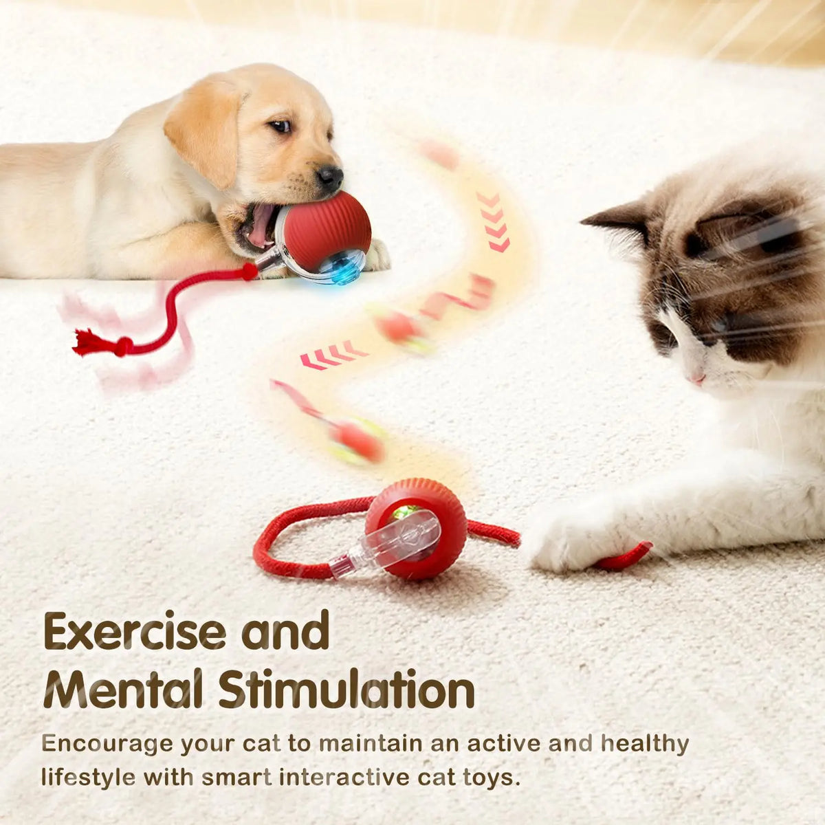 Rechargeable FanzyMarket interactive cat ball toy with LED, tail, and obstacle avoidance for engaging pet play.
