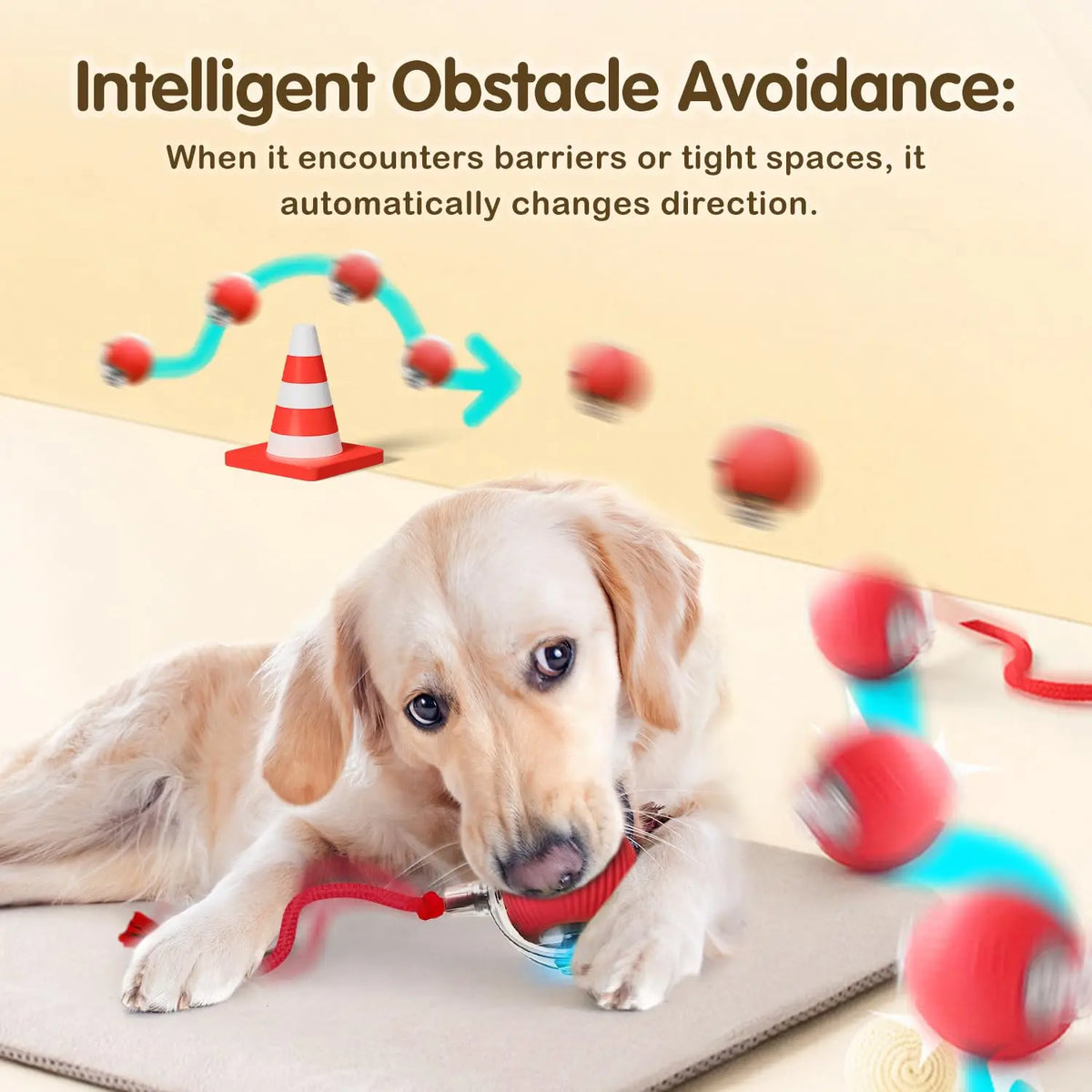 FanzyMarket rechargeable interactive cat ball toy with LED, tail, and obstacle avoidance, designed for engaging pet play.