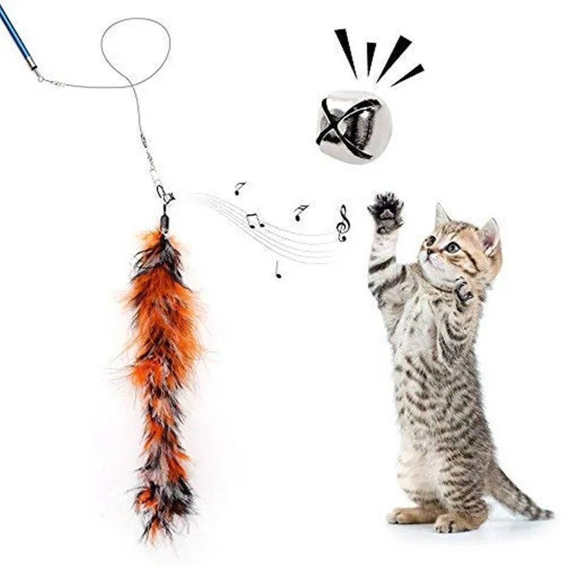 FanzyMarket interactive cat feather teaser wand with retractable 15-38 inch length, 5 refill heads, and a bell for playful pets.