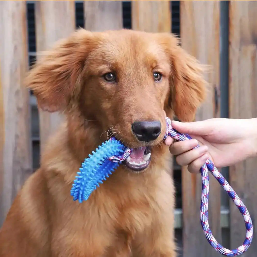 FanzyMarket interactive spiked dog ring toy made of rubber, designed for chewing, teeth cleaning, and training for pets.