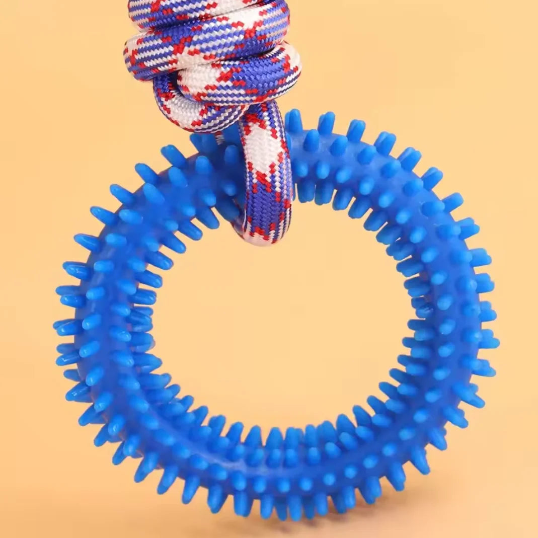 FanzyMarket interactive spiked dog ring toy, rubber chew for teeth cleaning and training, designed for pets' playful dental care