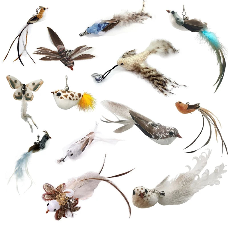 FanzyMarket interactive feather cat toy teaser for play and exercise, featuring colorful feathers on a wand for feline entertainment.