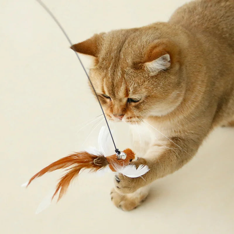 FanzyMarket interactive feather cat toy, a feather teaser for play and exercise, designed to entertain cats and promote activity.