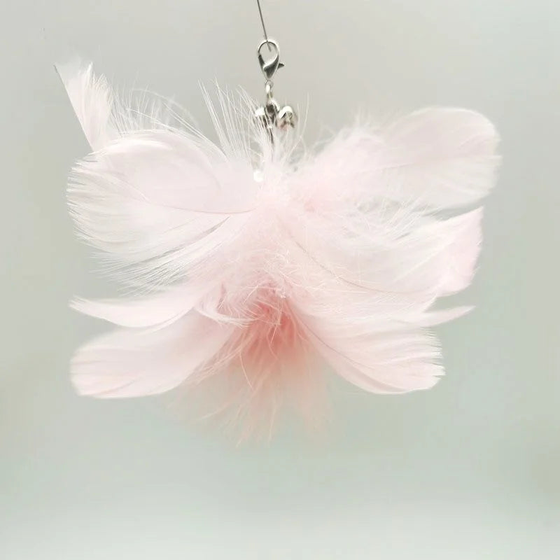 FanzyMarket interactive feather cat toy, a feather teaser for play and exercise to keep cats entertained and active.