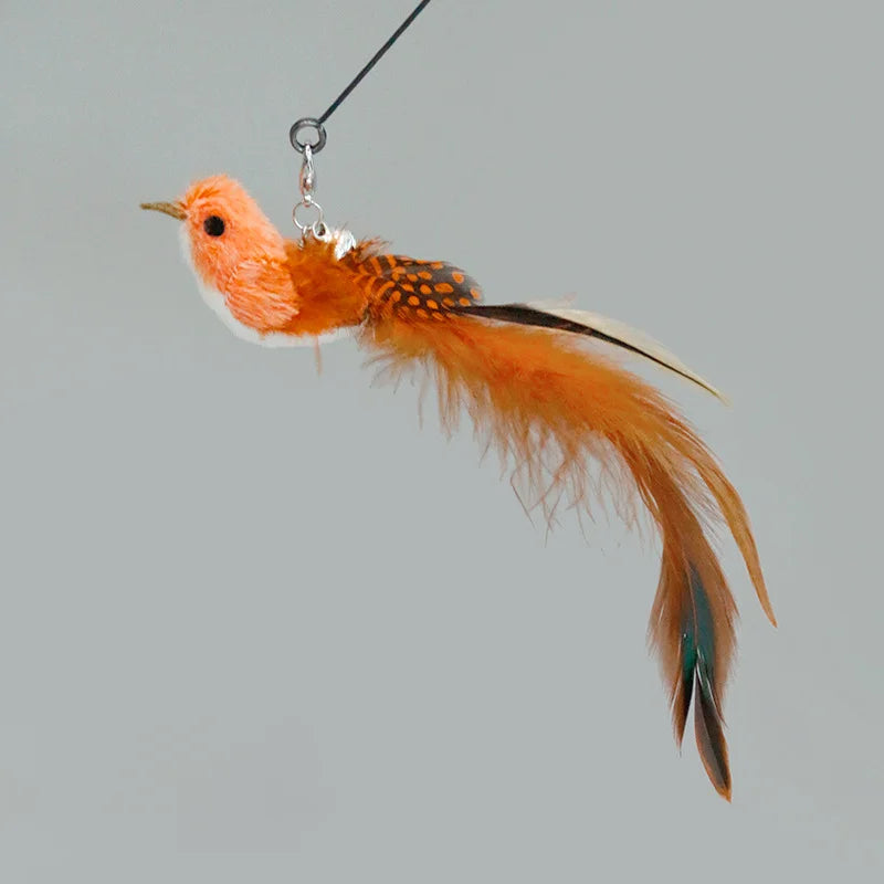 FanzyMarket interactive feather cat toy teaser for playful cats, designed to encourage exercise and fun during playtime.