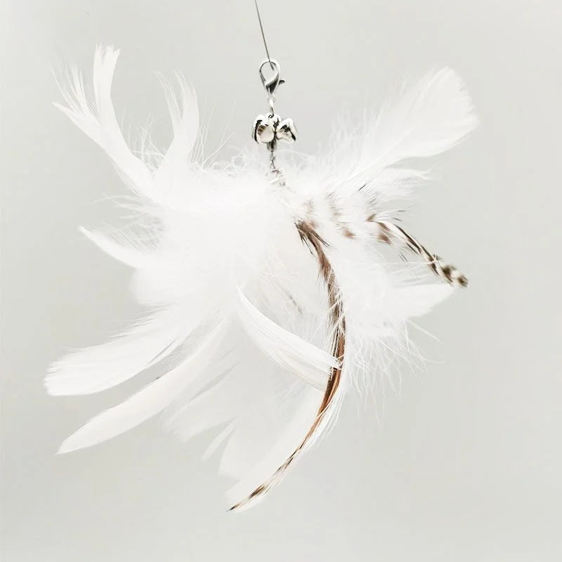FanzyMarket feather cat toy, an interactive feather teaser for playful cats, encouraging exercise and fun during playtime.