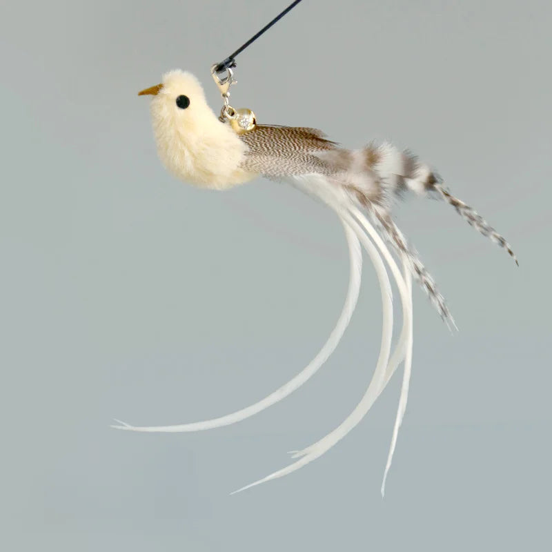 FanzyMarket feather cat toy, interactive feather teaser for play and exercise, designed to engage cats and promote activity.