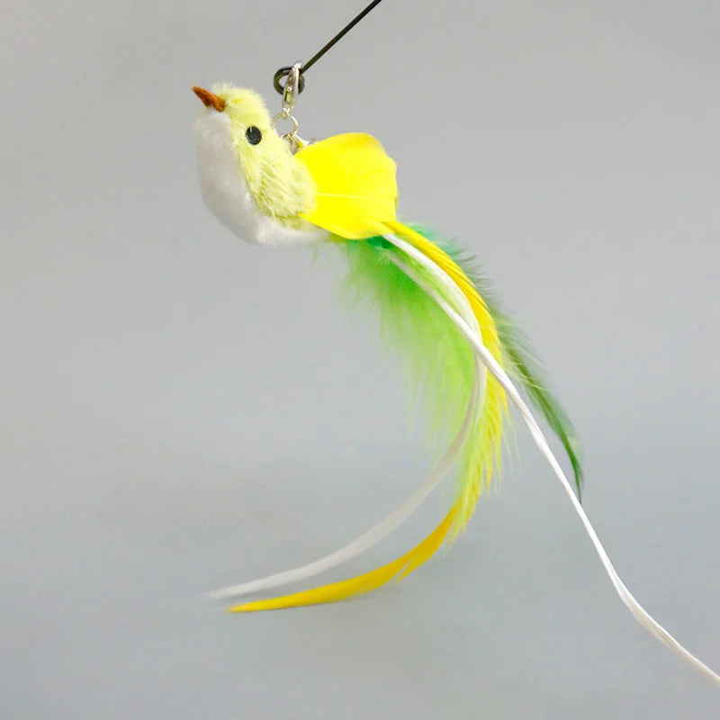 FanzyMarket interactive feather cat toy teaser for play and exercise, featuring colorful feathers on a wand for feline entertainment.