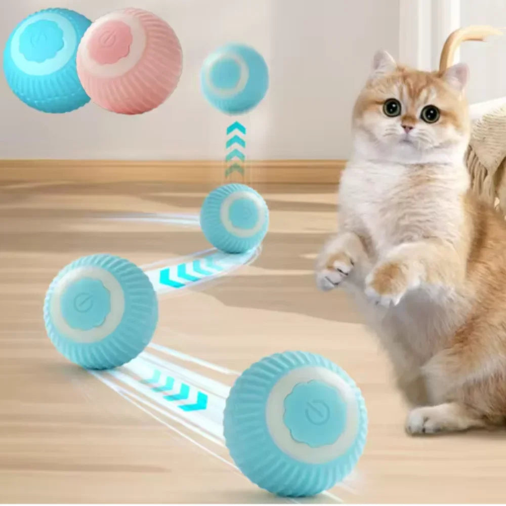 Blue automatic rolling cat ball toy by FanzyMarket, an interactive self-moving kitten toy for indoor play and entertainment.