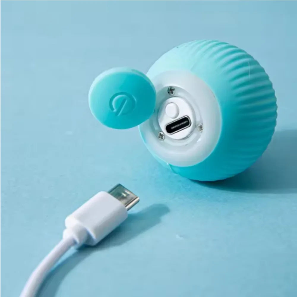 Blue automatic rolling cat ball toy by FanzyMarket, interactive self-moving kitten toy for indoor play and entertainment.