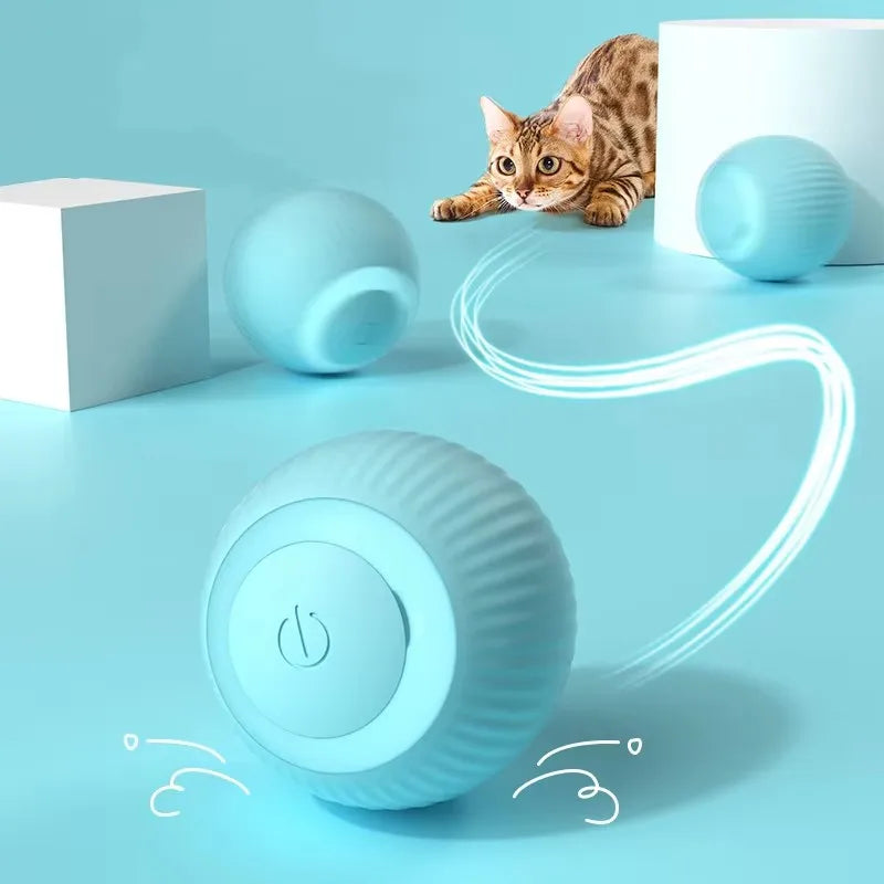 Blue automatic rolling cat ball toy from FanzyMarket, an interactive self-moving kitten toy for indoor play and entertainment.