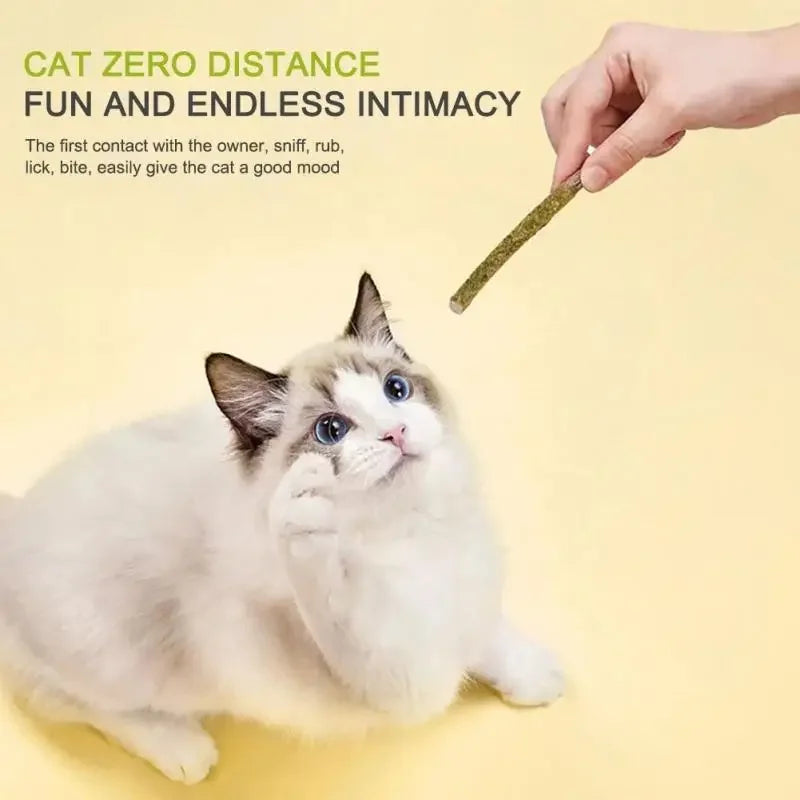 Six natural silvervine cat chew sticks by FanzyMarket, perfect for dental health, anxiety relief, and play for cats.