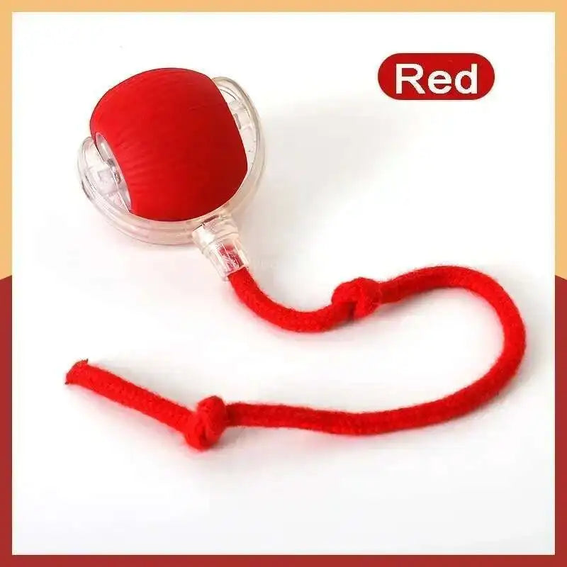 Pink interactive rolling cat toy with tail, USB rechargeable smart ball, dual-speed automatic play for cats, by FanzyMarket.