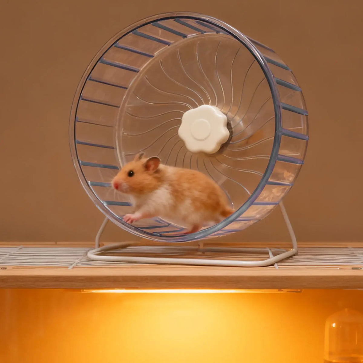 FanzyMarket 5.5-inch quiet double-bearing hamster exercise wheel with transparent design, ideal for hamsters, mice, and gerbils.