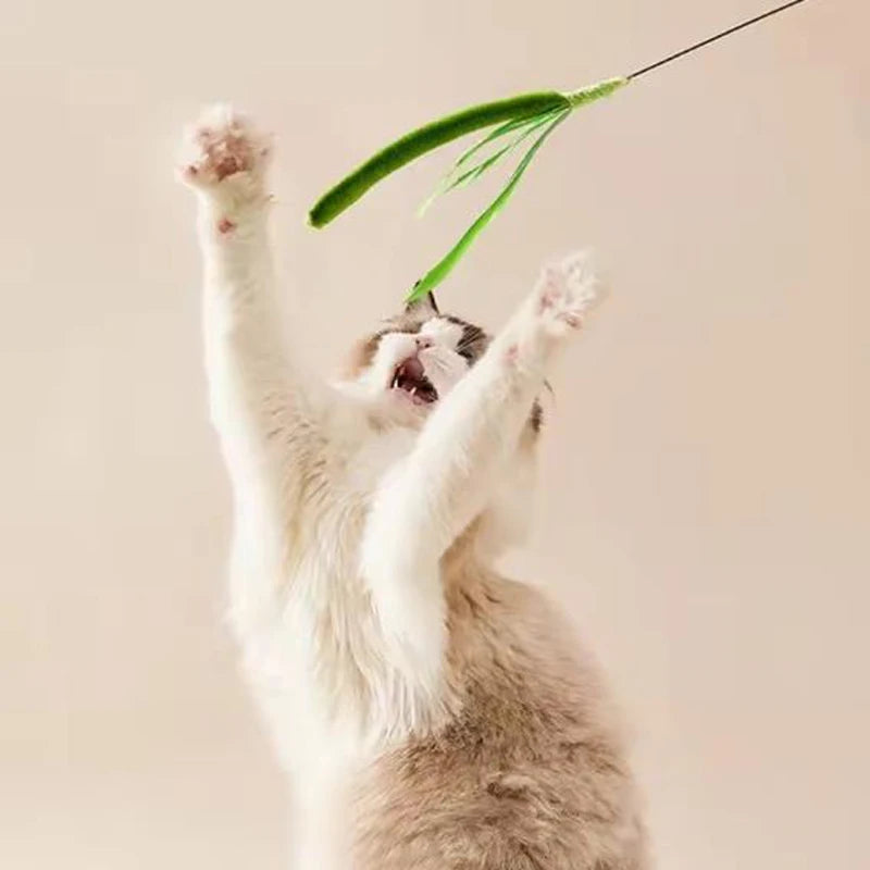FanzyMarket interactive feather teaser wand for cats with flexible wire and durable feathers, perfect for engaging feline play.