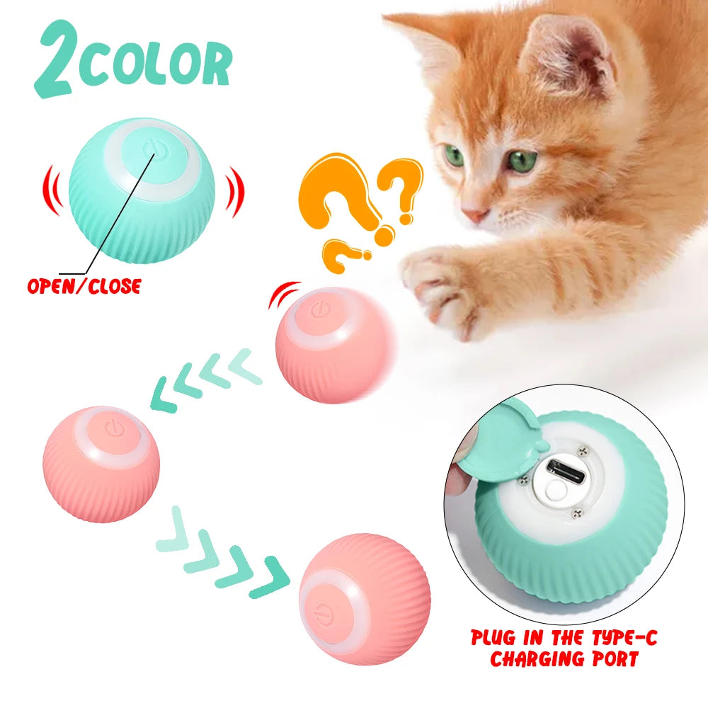 FanzyMarket automatic rolling cat ball toy, USB rechargeable, interactive self-moving kitten toy for indoor pet play.