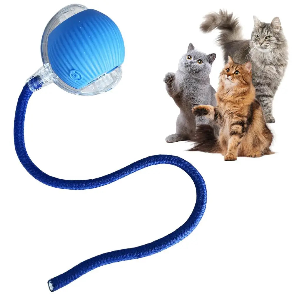 FanzyMarket USB rechargeable smart rolling cat ball toy with tail lamp, designed for interactive play with cats and small dogs.