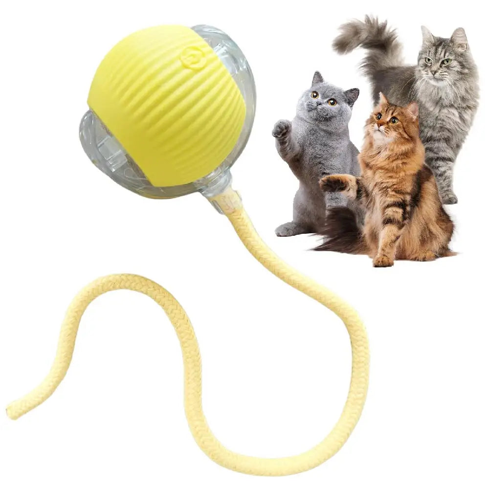FanzyMarket USB rechargeable smart rolling cat ball toy with tail lamp, designed for interactive play with cats and small dogs.