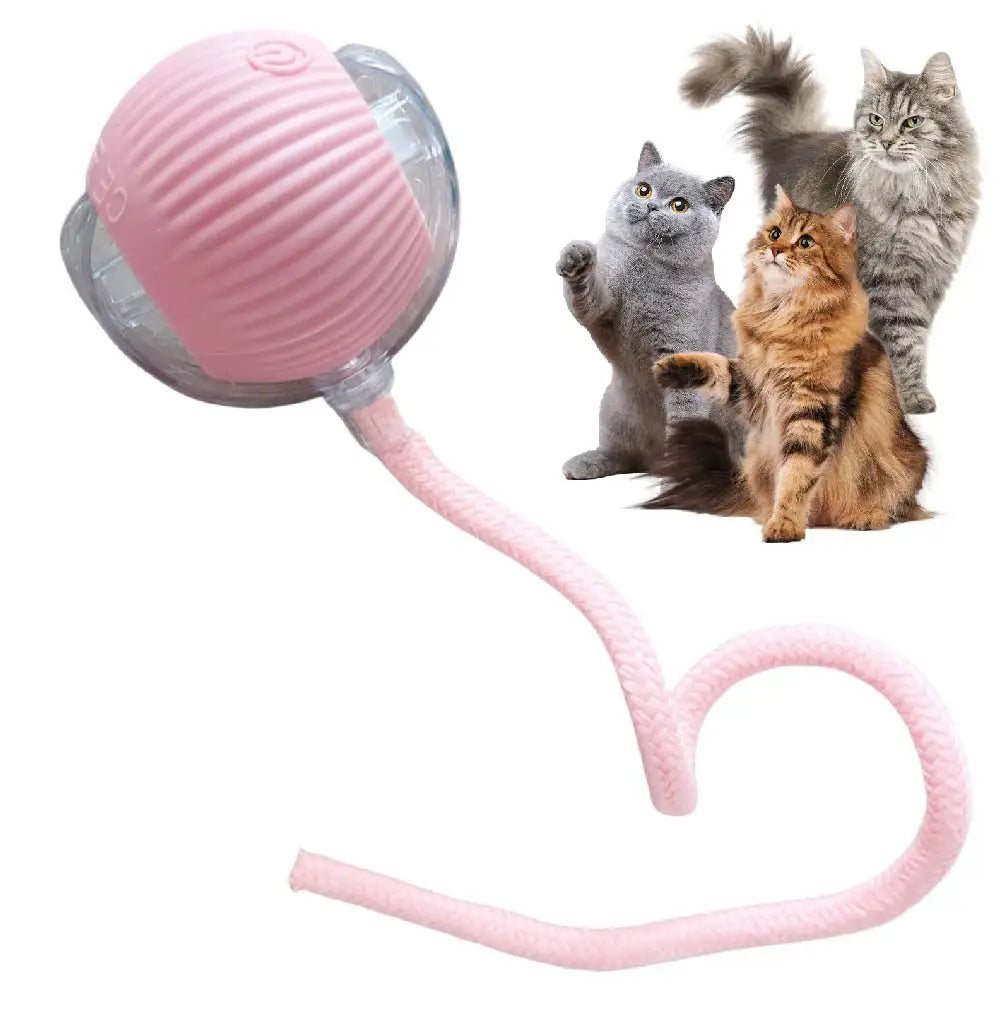 FanzyMarket USB rechargeable smart rolling cat ball toy with tail lamp, designed for interactive play with cats and small dogs.