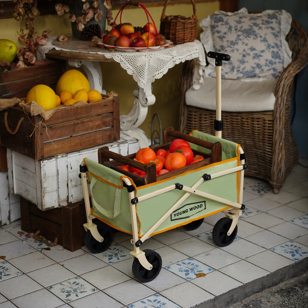 Mini green camping cart by FanzyMarket, compact and portable trolley with sturdy frame, ideal for outdoor camping and fishing trips.