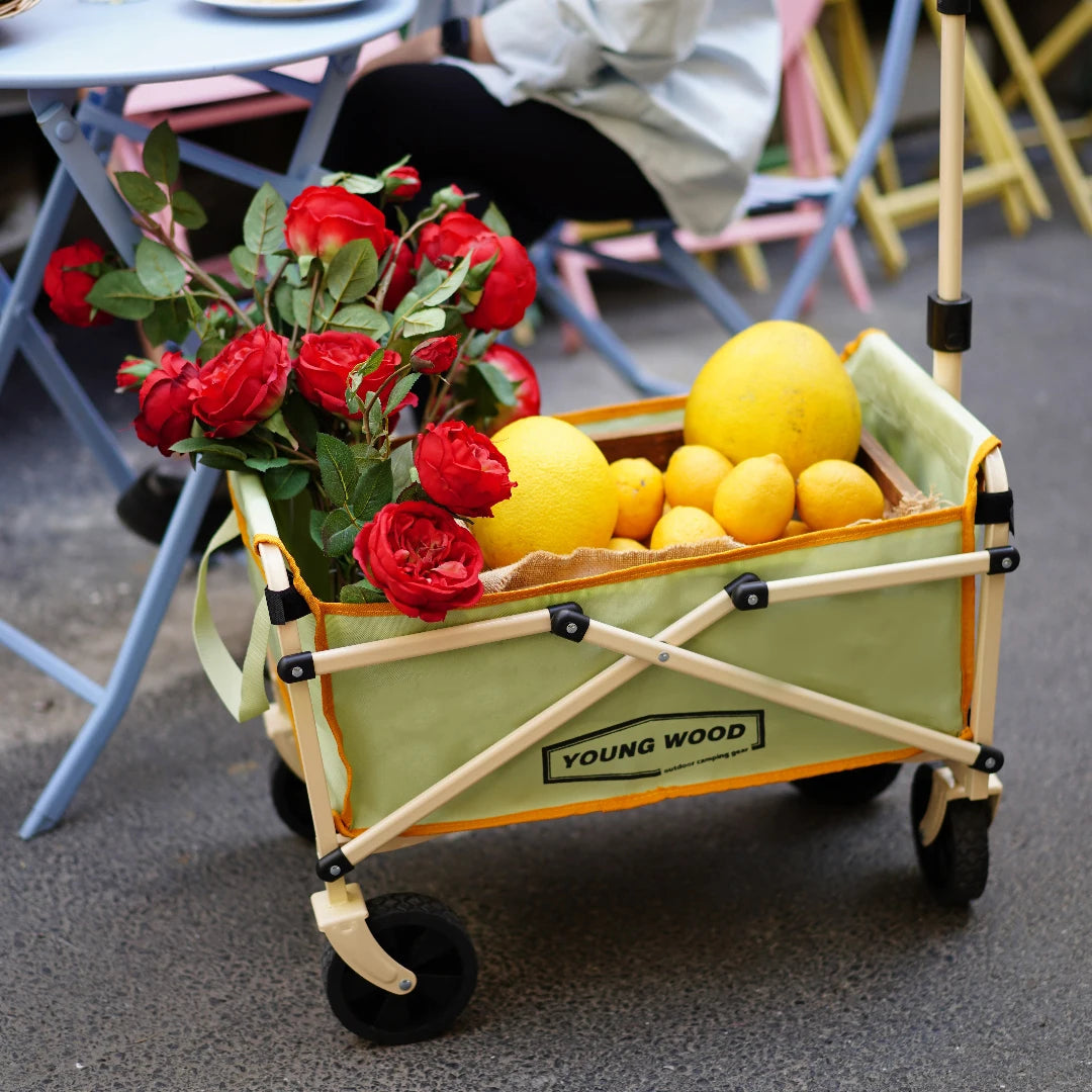 Mini green camping cart by FanzyMarket, compact and lightweight outdoor trolley with sturdy frame for camping and outdoor activities.
