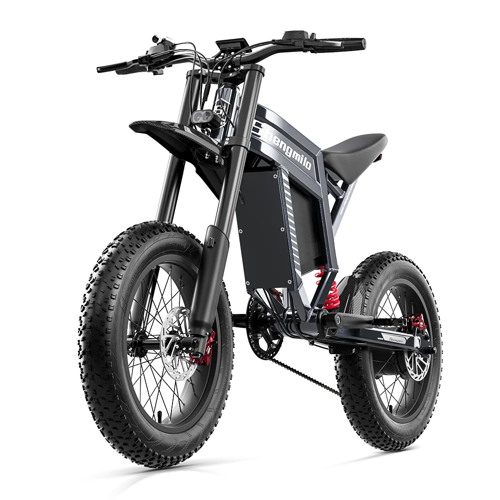 FanzyMarket 1500W electric fat-tire mountain ebike with 20-inch wheels, lithium battery, and high-speed mountain biking capabilities.