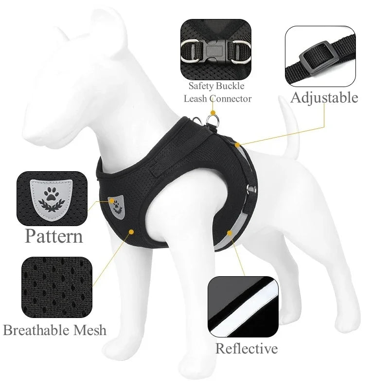 Blue adjustable pet harness and leash set for dogs and cats, with vest-style design for comfortable walking.